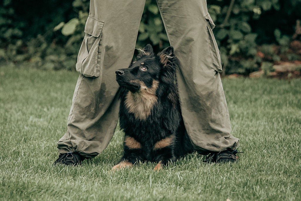 Tricks Hold Lynge Opstart Februar 2026 Søndage