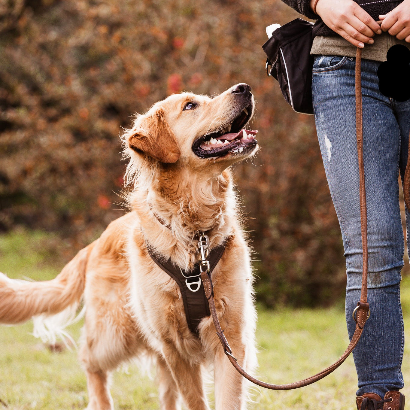 Bootcamp: Gå Pænt i Snor Lynge, Opstart Januar 2026 Torsdage