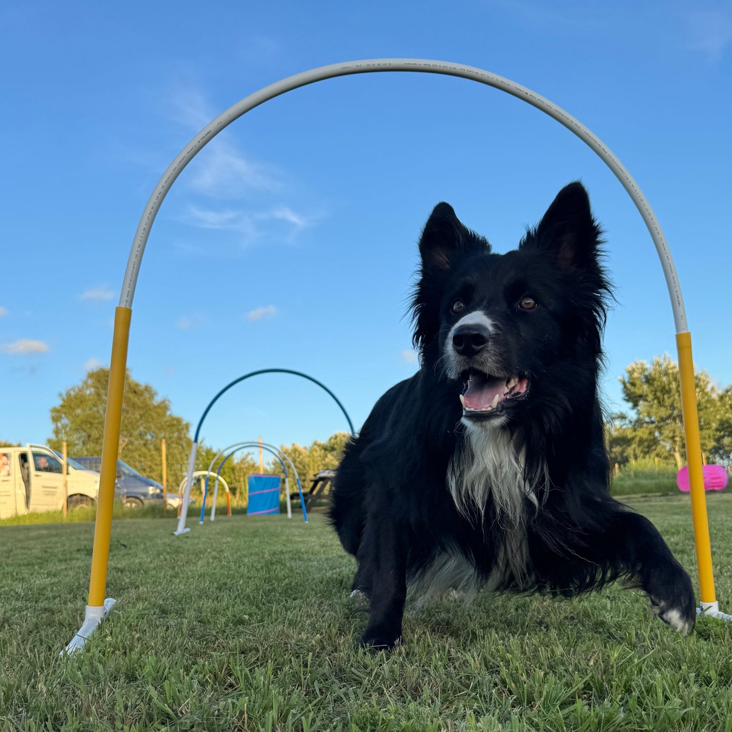 Hoopers Let Øvet Opstart Torsdage Marts 2026